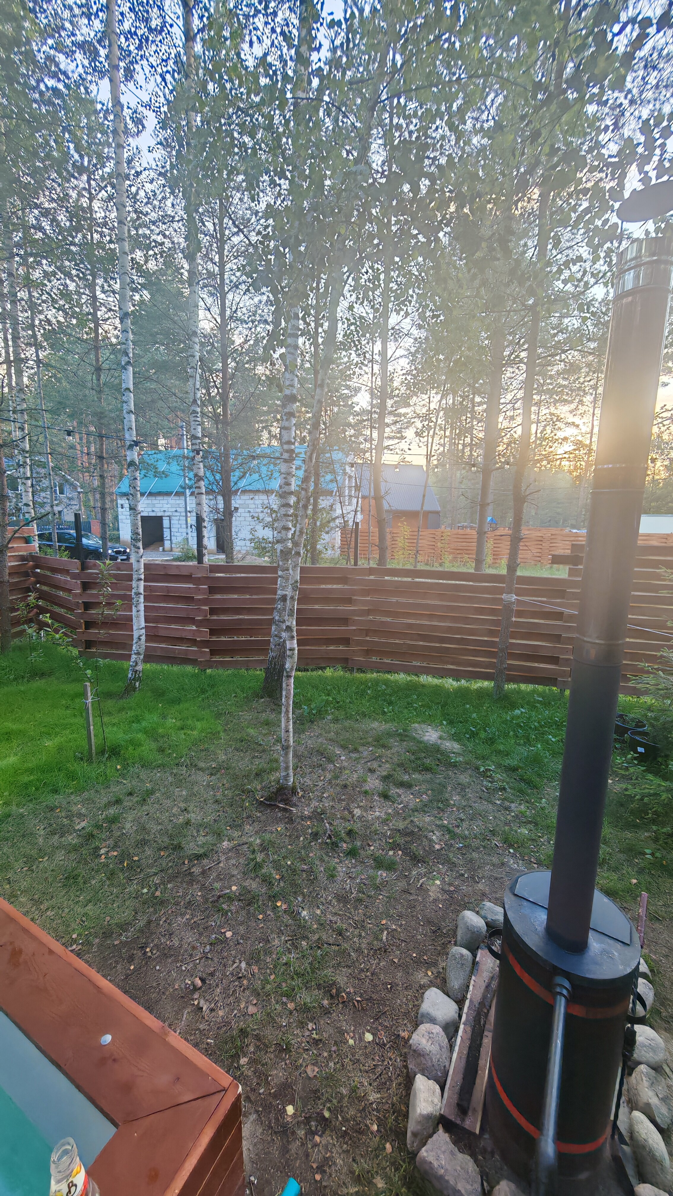 Фото Шишки Парк