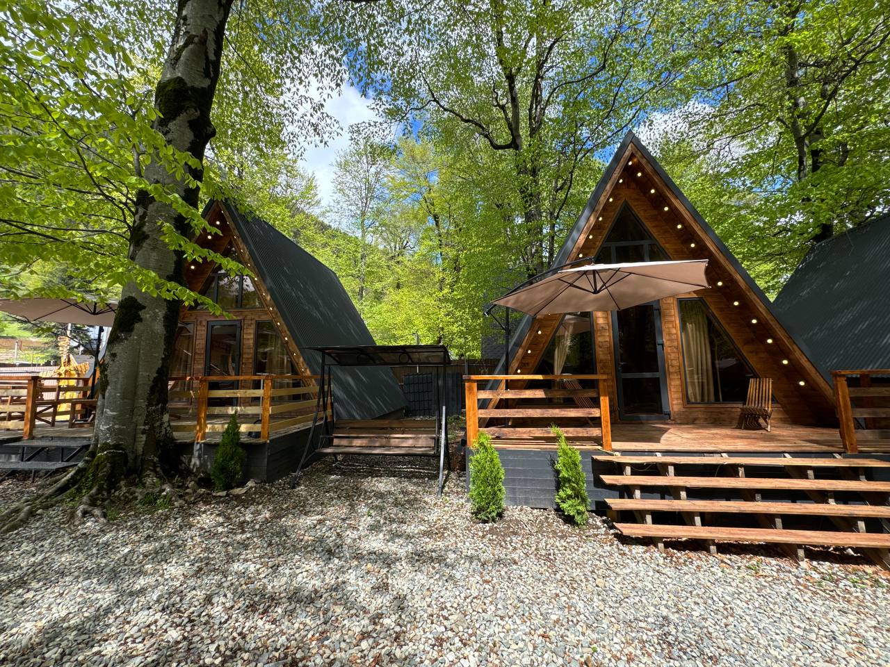 Фото Лесная Гармония