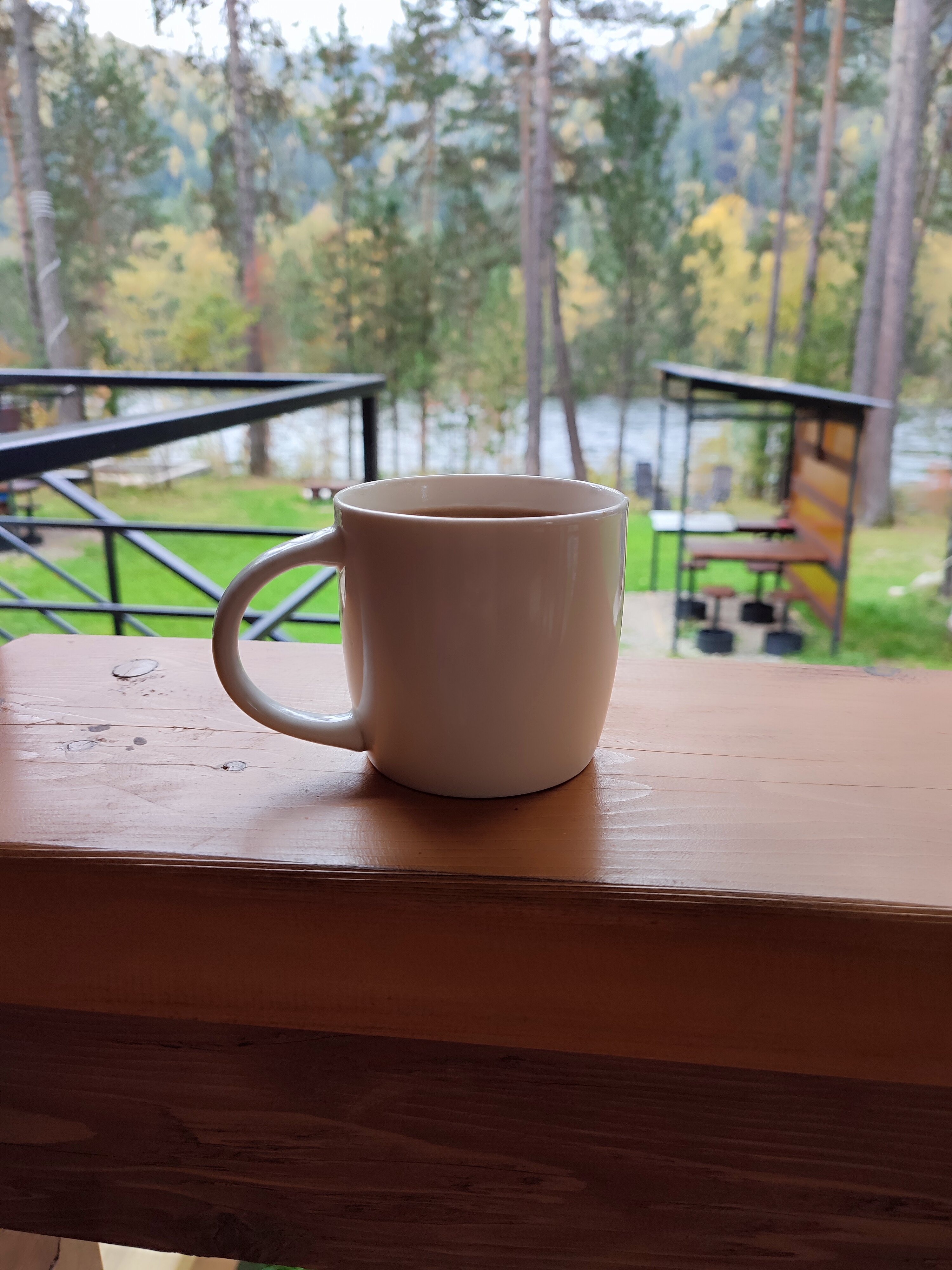 Фото Объятия Бии