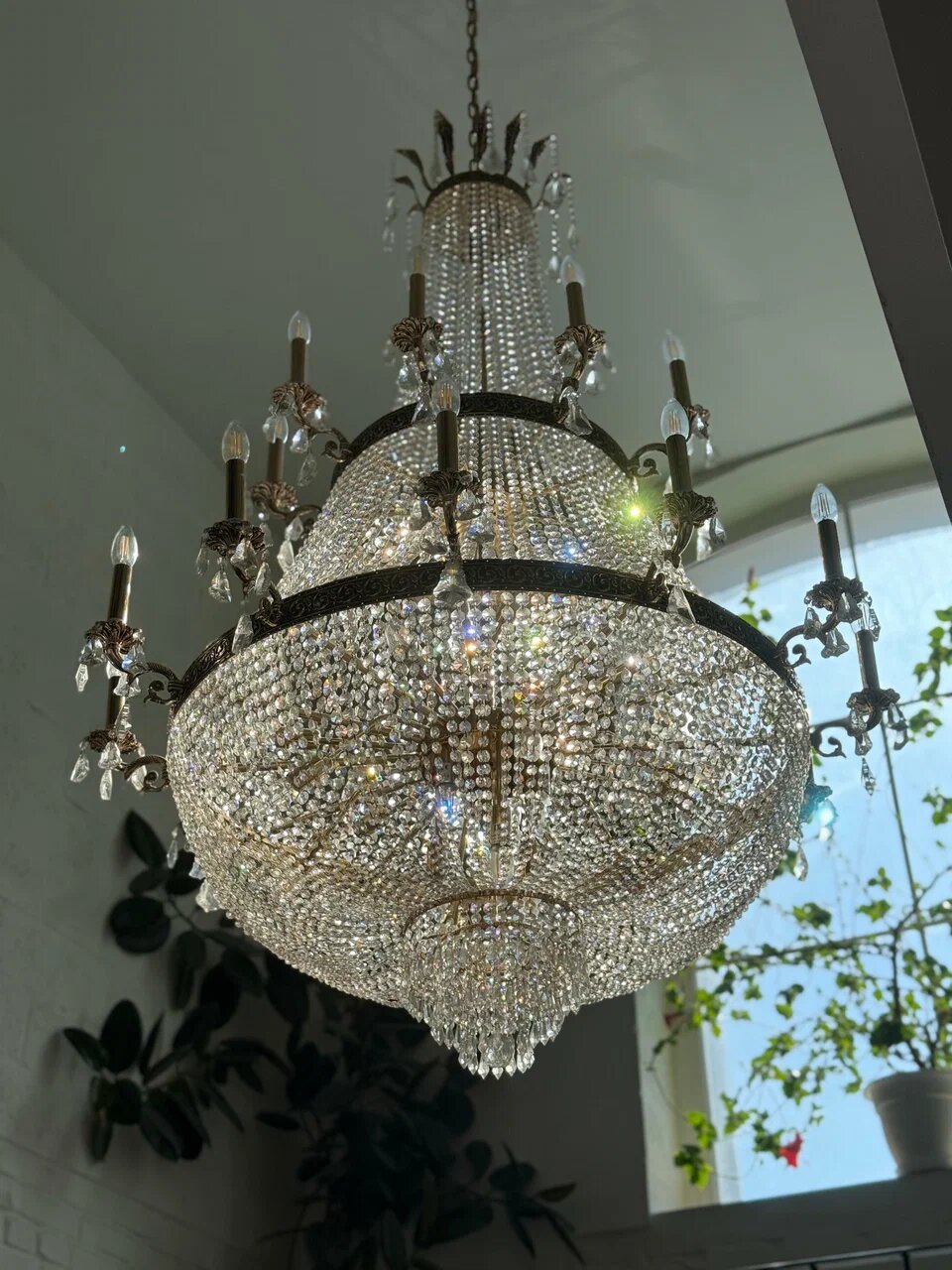 Фото Никитин