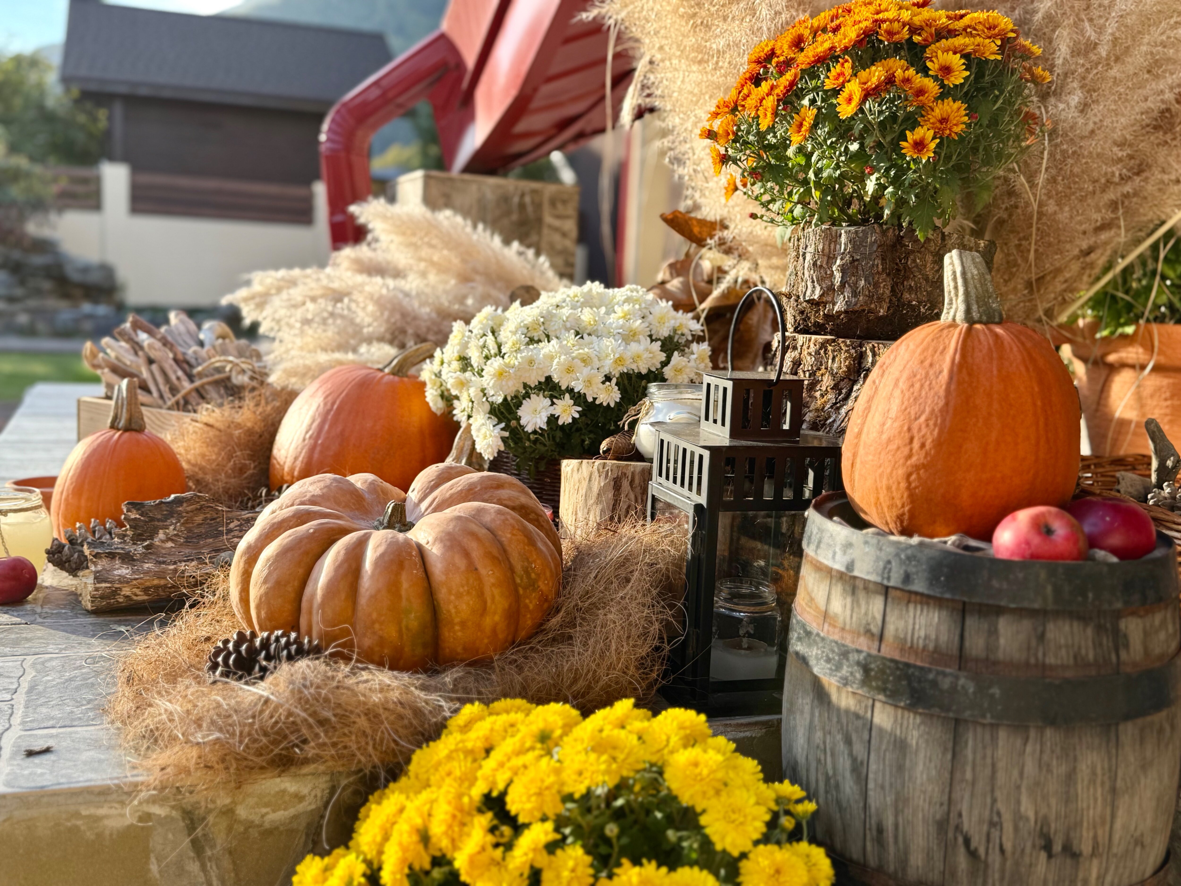 Фото Вертикаль