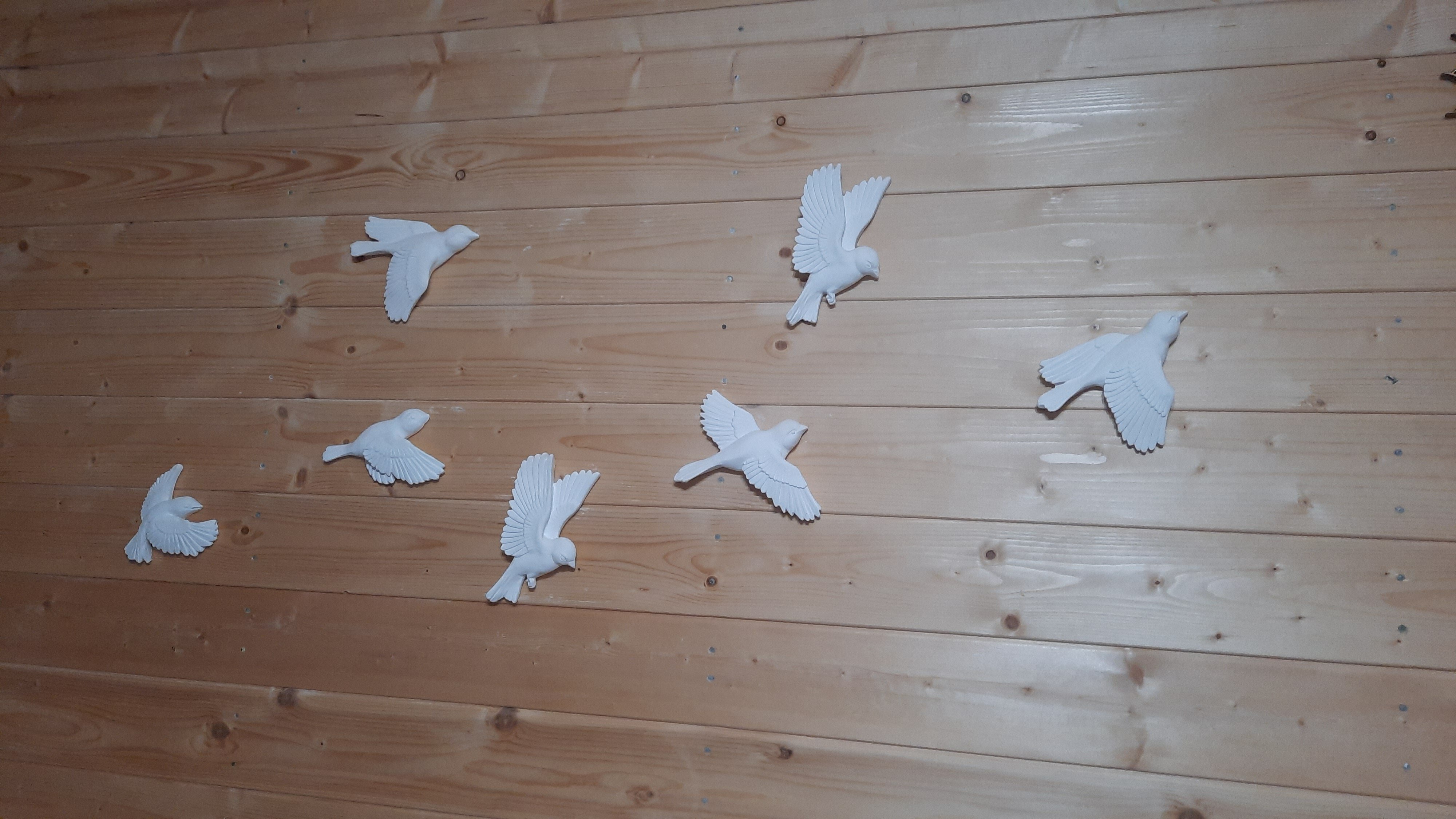 Фото Надежда