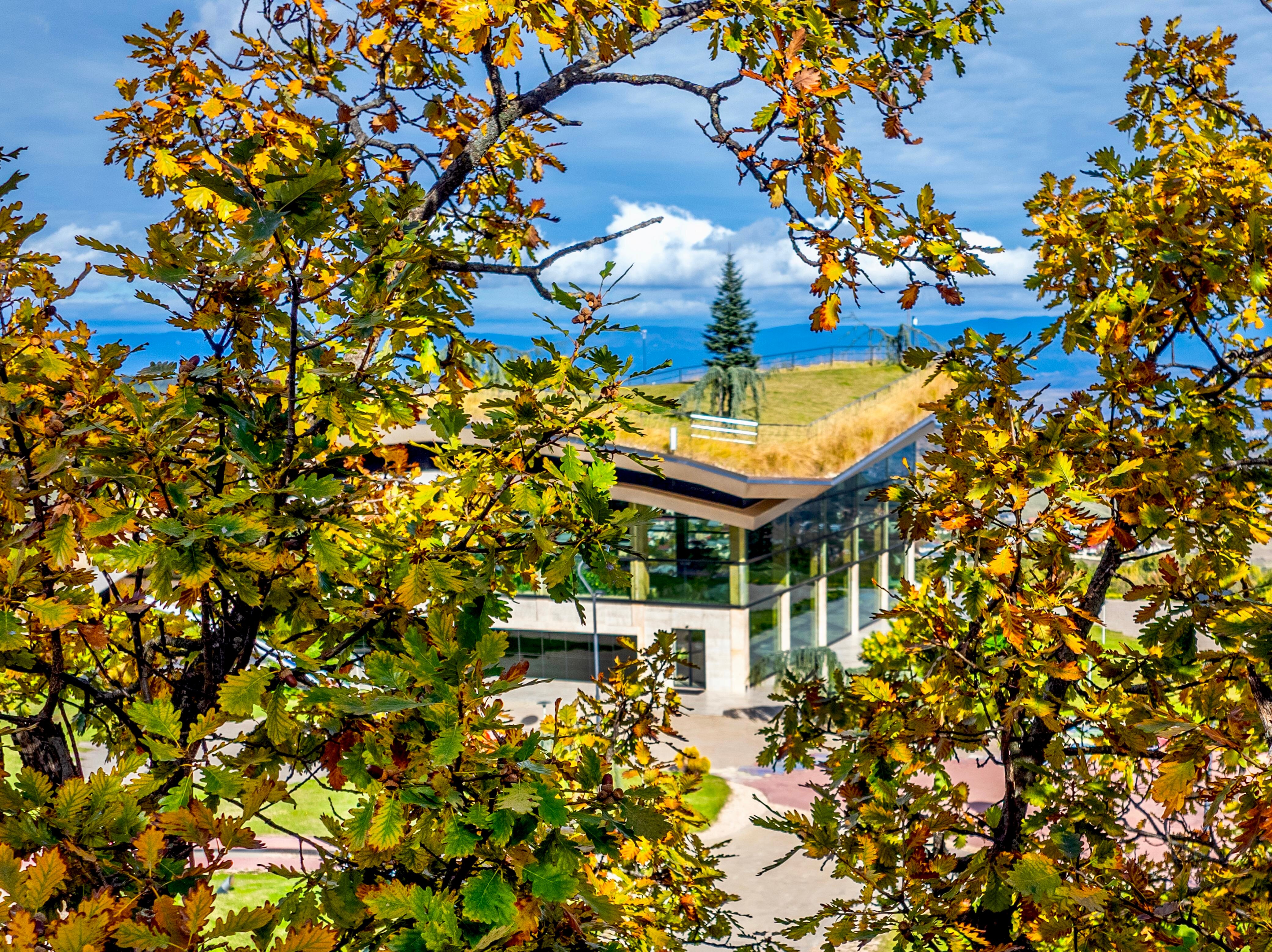 Фото Bioli Wellness Resort