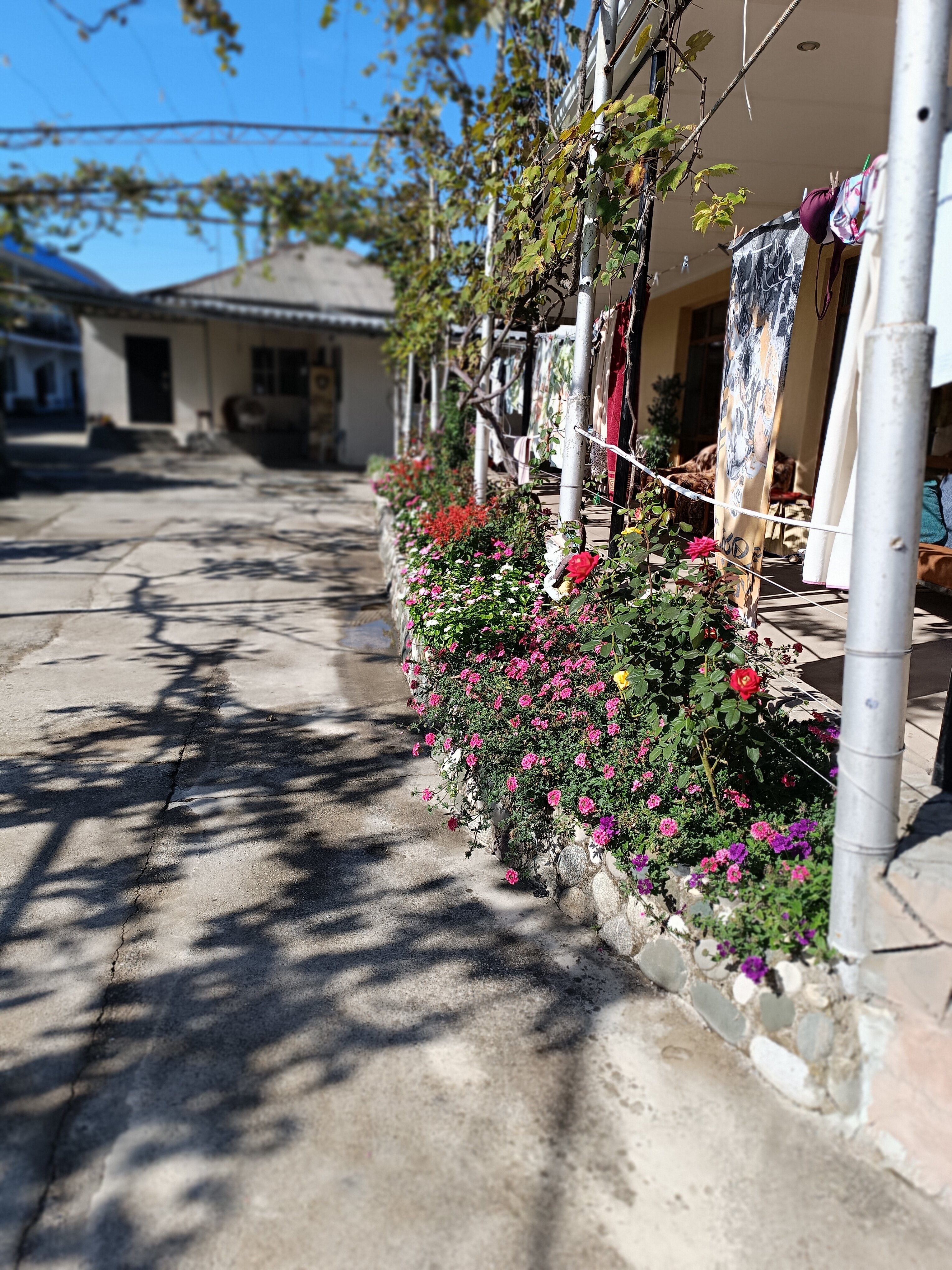 Фото у Норика и Сусанны