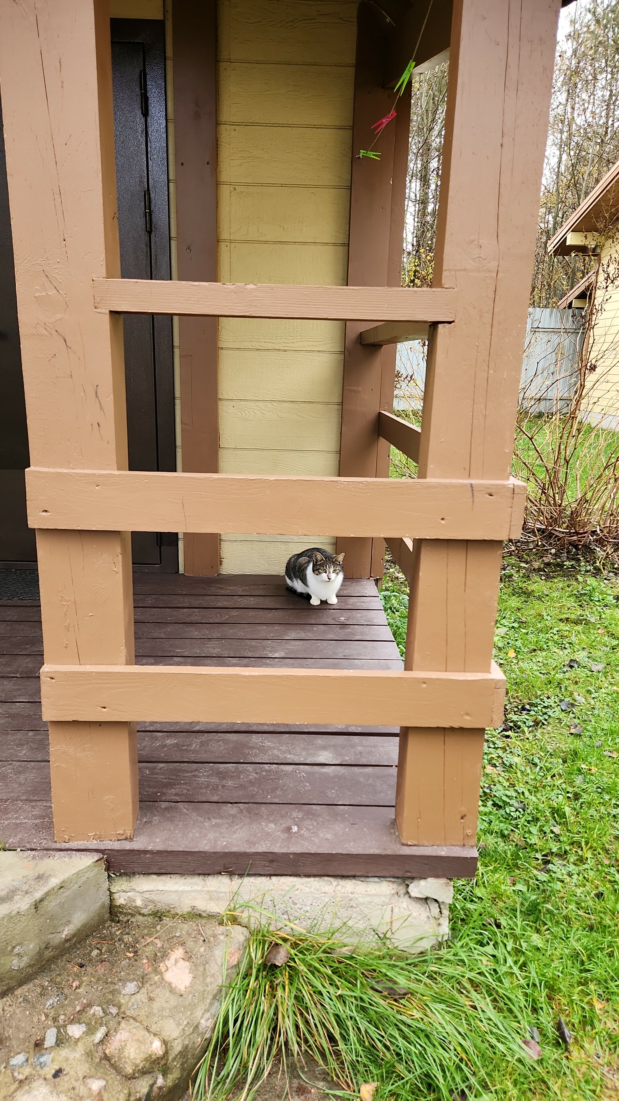 Фото Мичуринский дворик