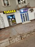Tcell (Ismoili Somoni Avenue, 57), mobile phone store