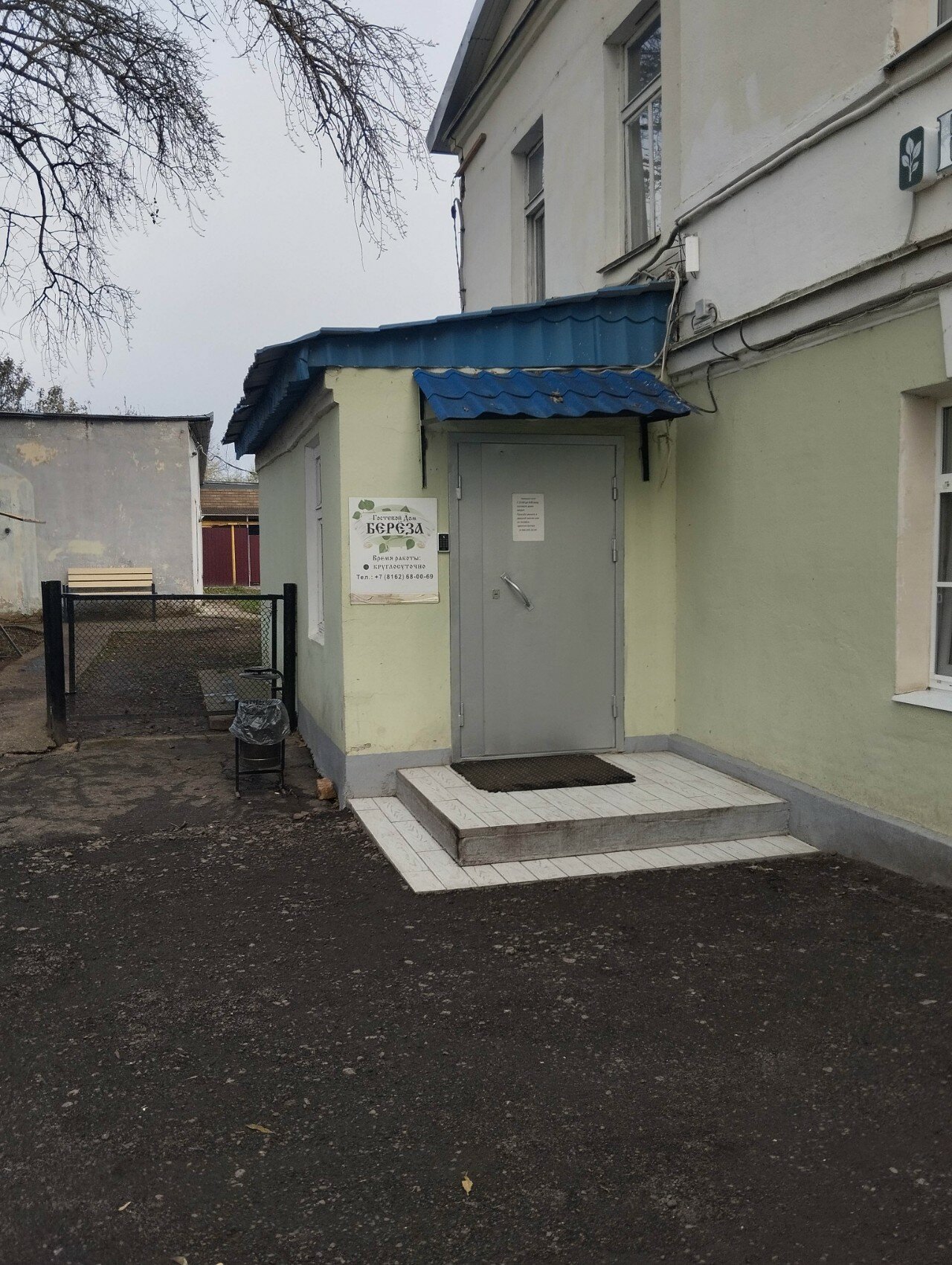 Фото Берёза