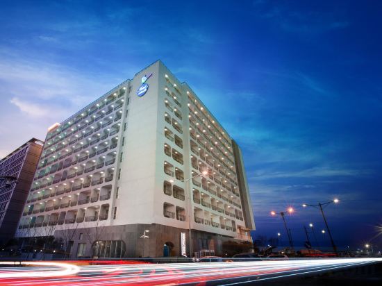 Фото Whistle Lark