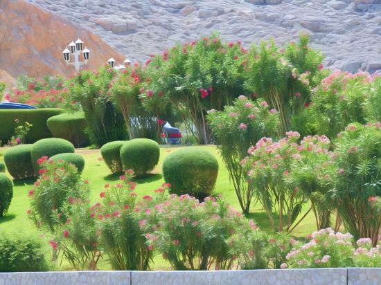 Фото Отель Атана Хасаб