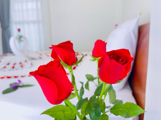 Фото Sea Breeze Resort