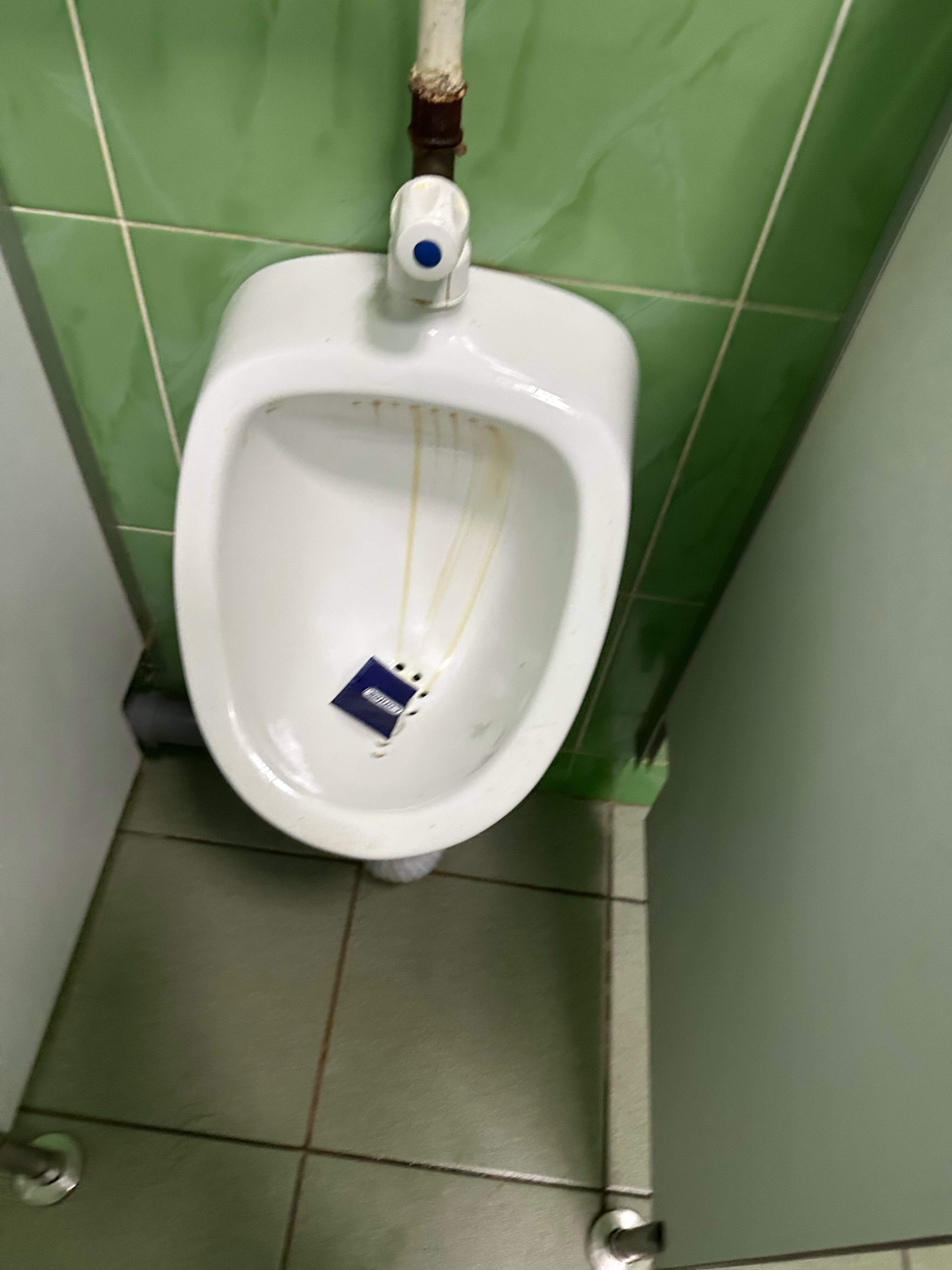 Фото Аврора