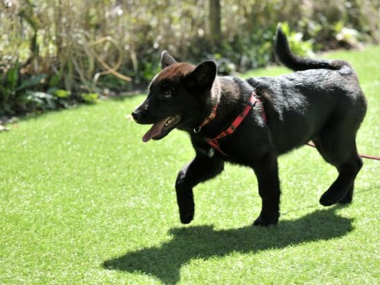 Фото Ryokan Hanagokoro