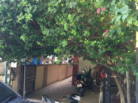 Фото Ban Elephant Blanc Apartment