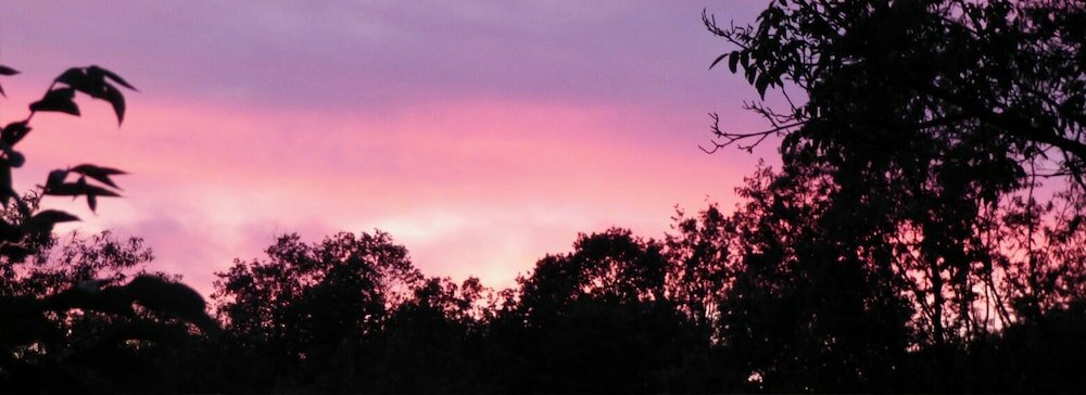 Фото La Posada de Pedrazales