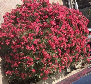 Гостиница A Storia