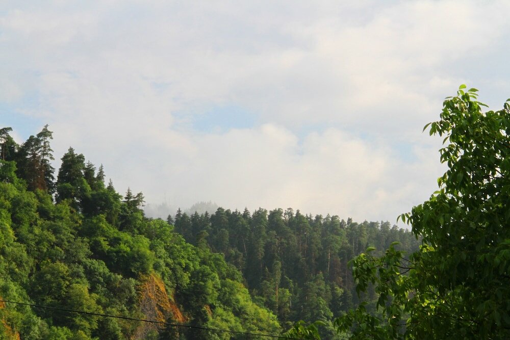 Фото Hotel Old Borjomi