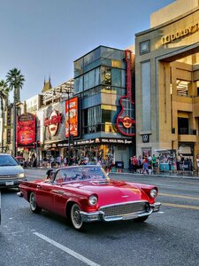 Гостиница Montrose at Beverly Hills