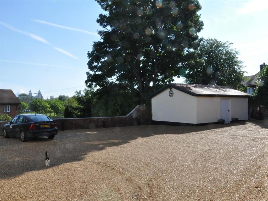 Фото The Liver View