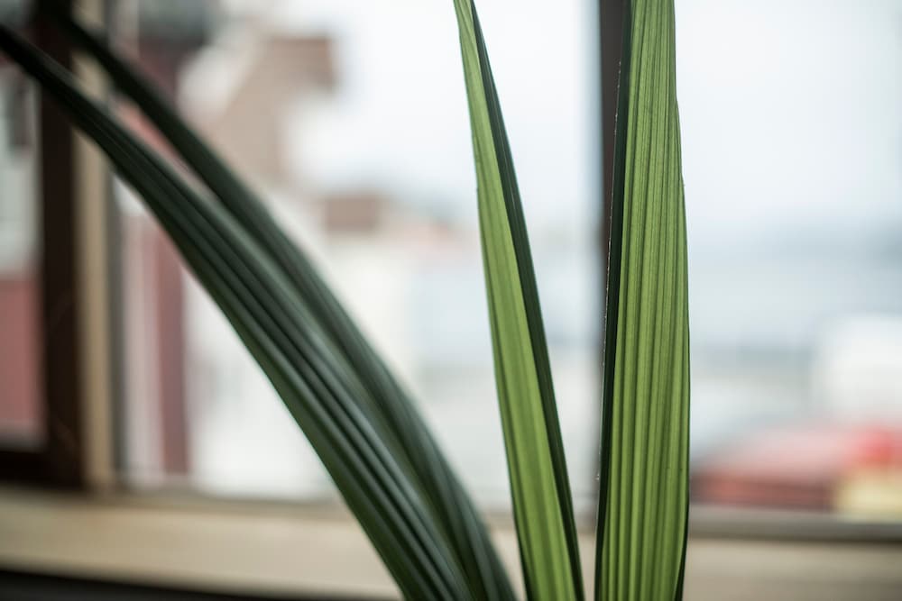 Фото Eilert Smith Hotel