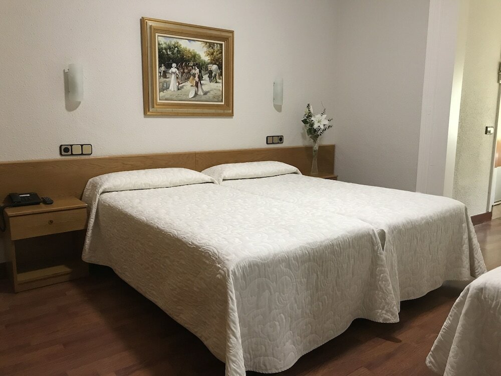 Фото Hotel Pelayo