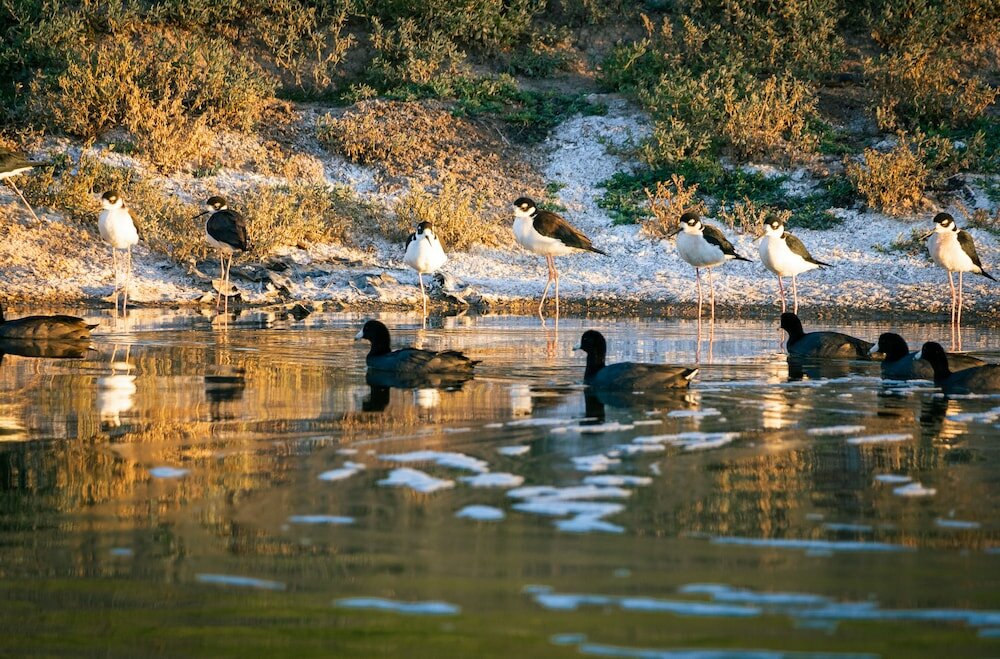 Фото Azul Talavera Country Club