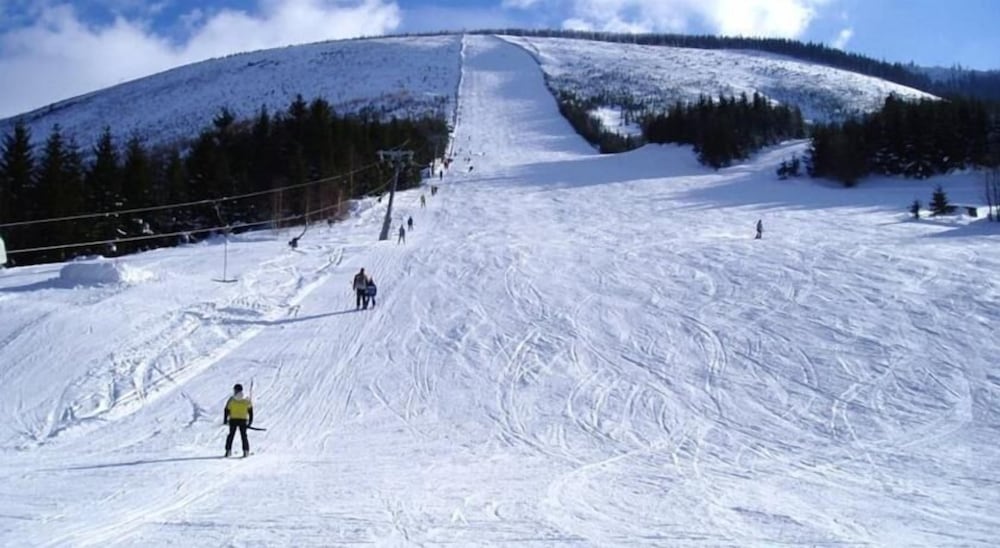 Фото Alpský hotel