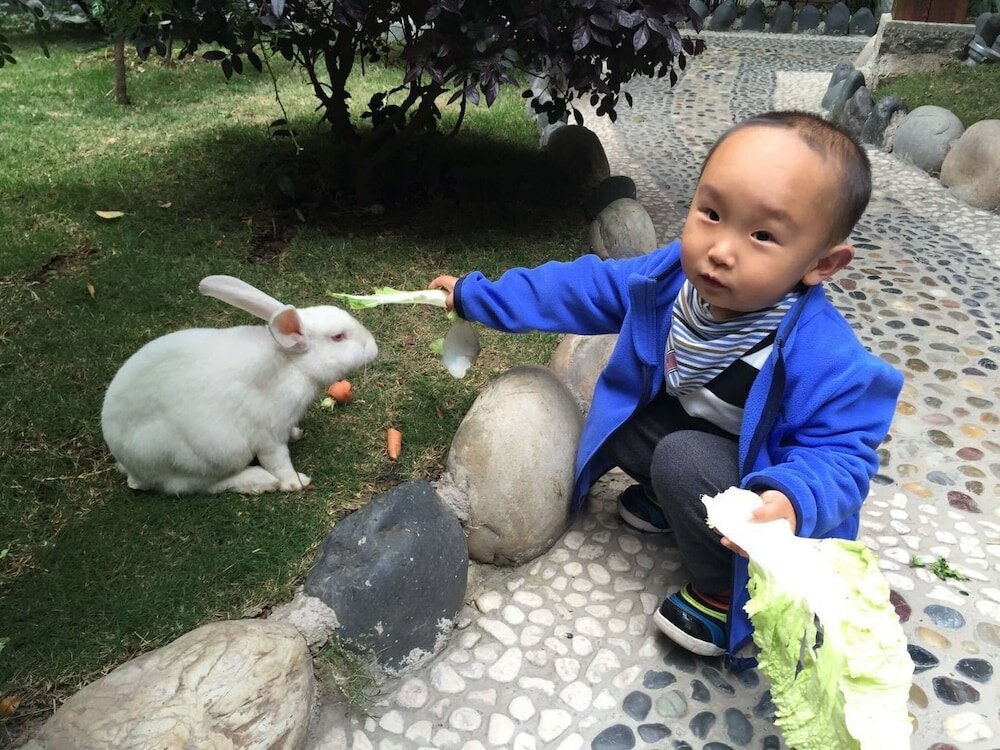 Фото China Old Story Inns Dali Ancient Town