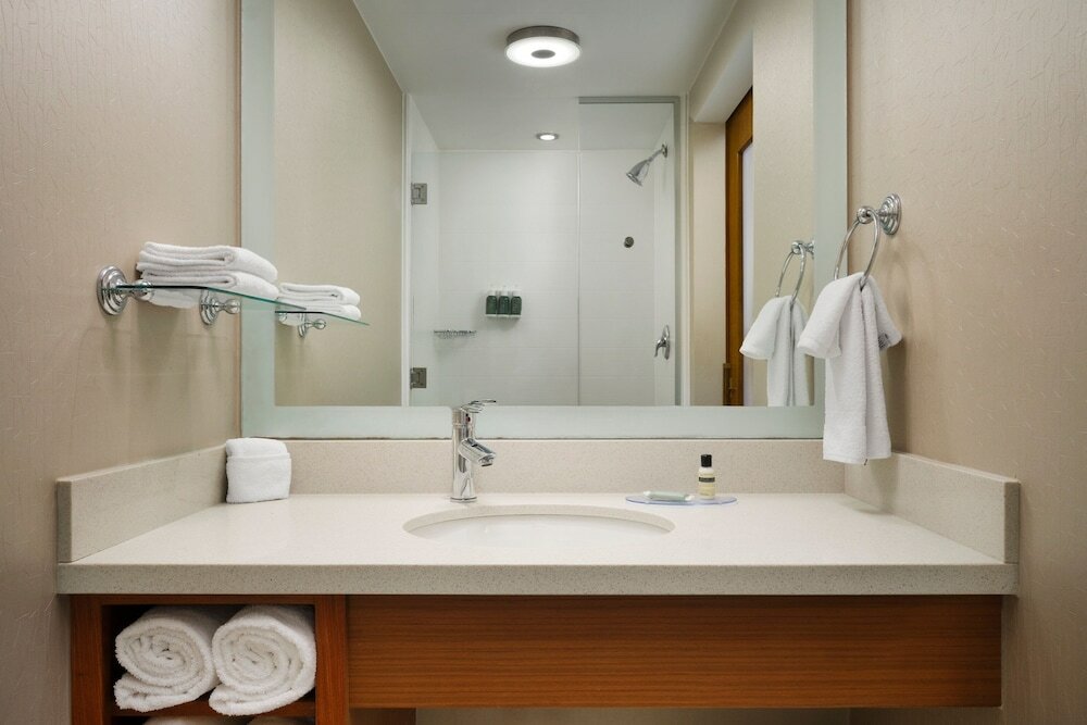 Фото Springhill Suites by Marriott Pittsburgh Mt. Lebanon