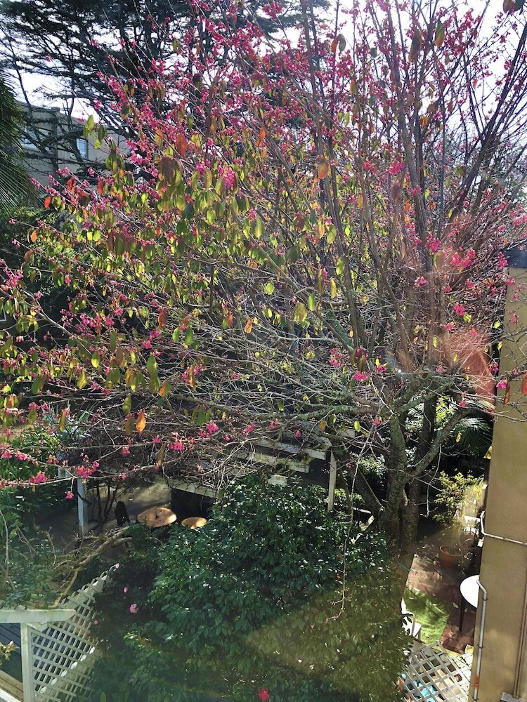 Фото The Devereux Boutique Hotel