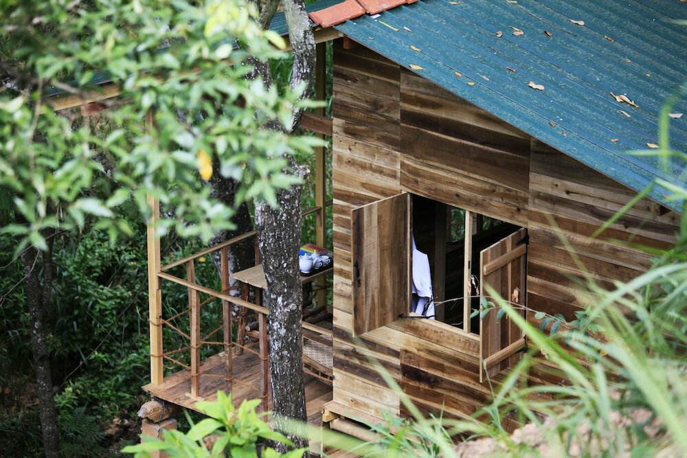 Фото Ella Eco Lodge