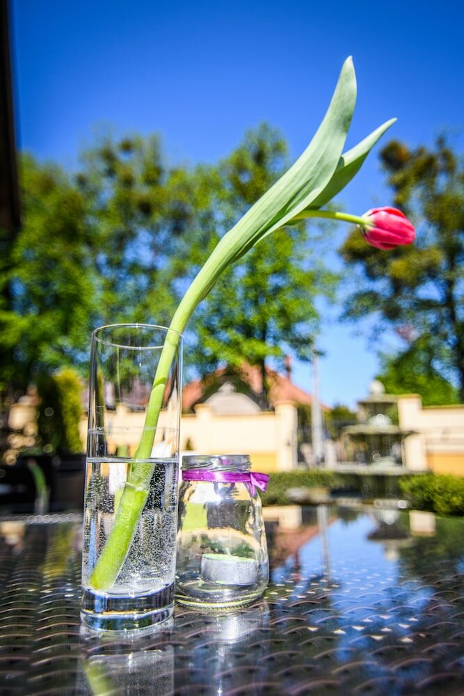 Фото Eco friendly Hotel Dalia