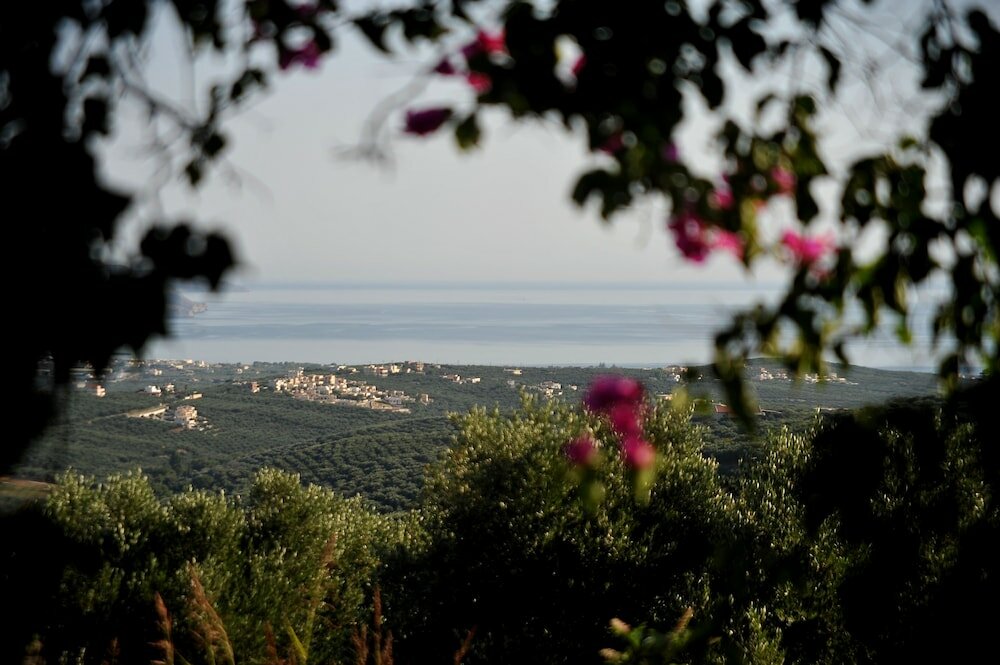 Фото Elia Traditional Hotel & SPA