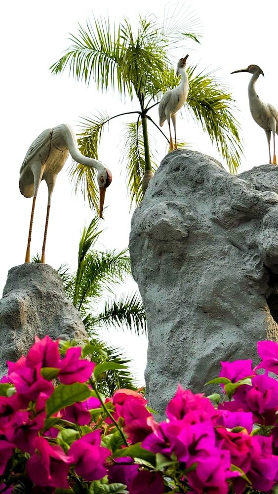 Фото Oyo 1236 Hotel Green Park