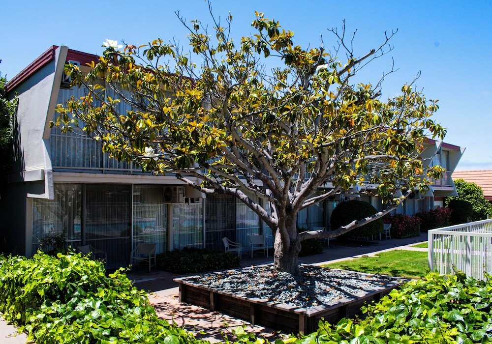 Фото Travelodge by Wyndham Monterey Bay