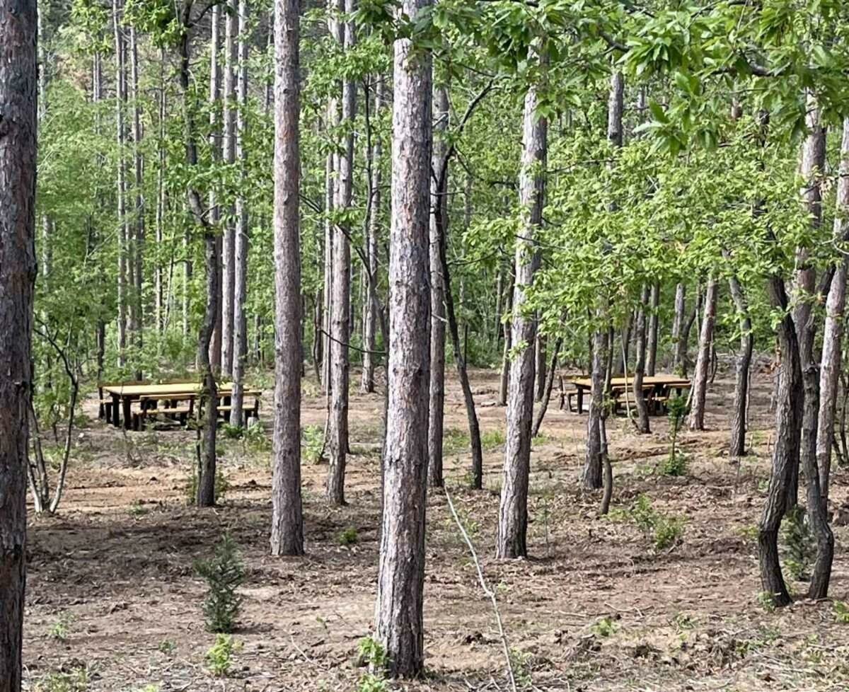 Фото Park hotel Bellevue