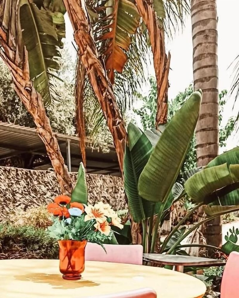 Фото Hotel Residence La Palma