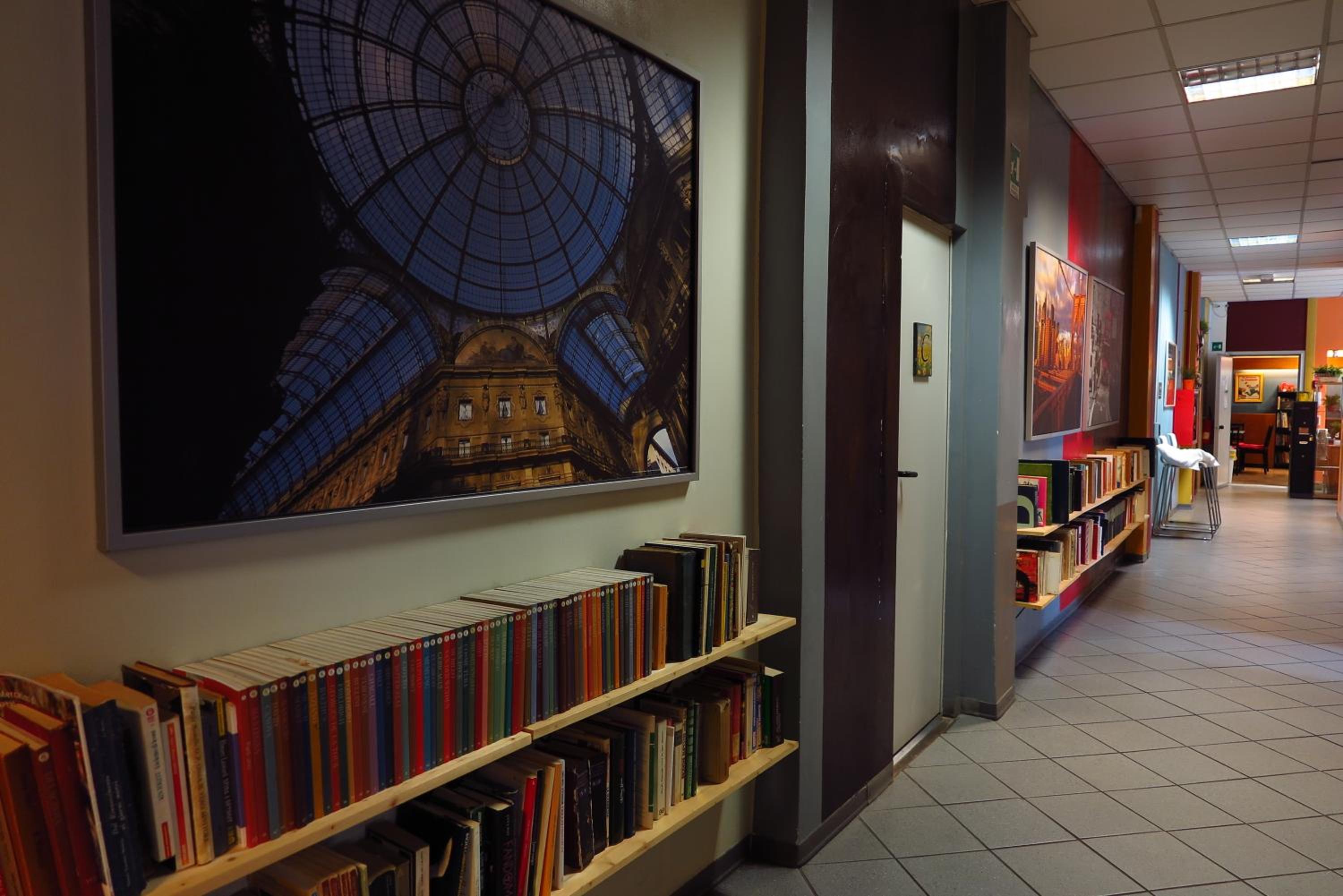 Фото Koala Hostel