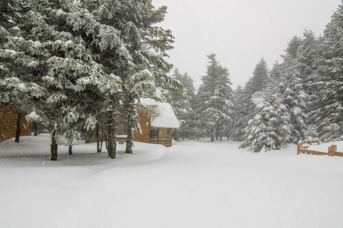 Внешний вид отеля Uludag Orman Koskleri в Османгазях, фото 3
