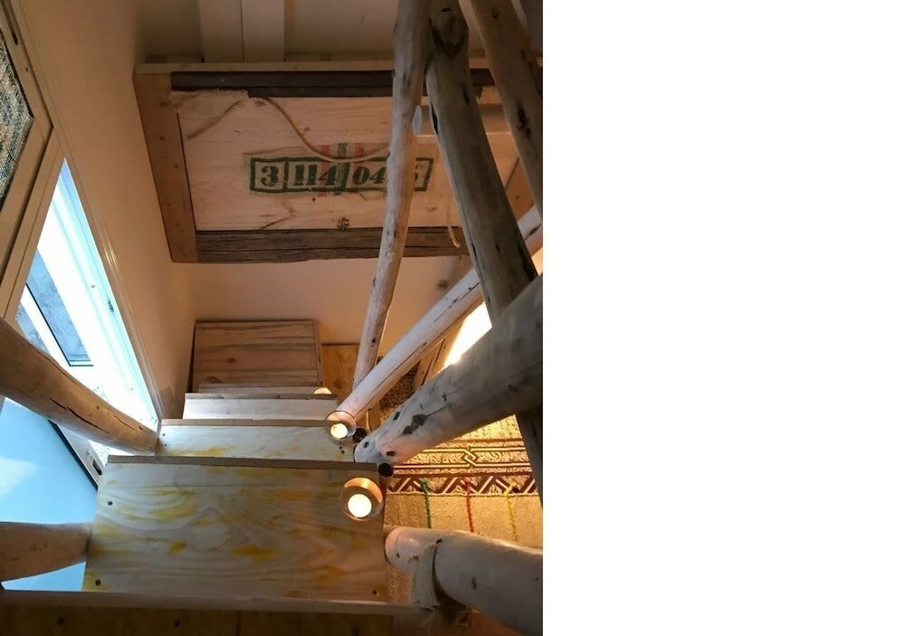 Фото Cactus Host