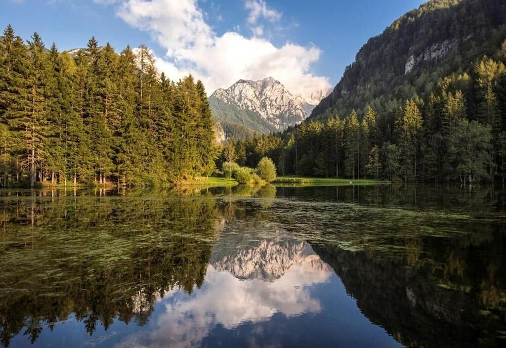 Фото Boutique Hotel Vila Planinka