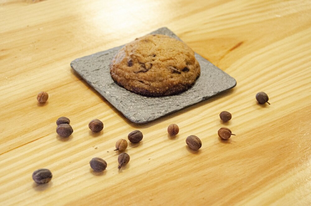 Фото Hotel Catalina Plaza