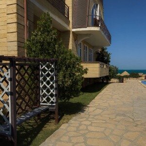 Фото Ассорти