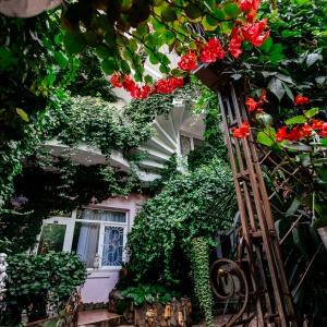 Фото Летучая мышь