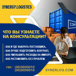 Synergy Logistics (Babur Street, 77), customs broker