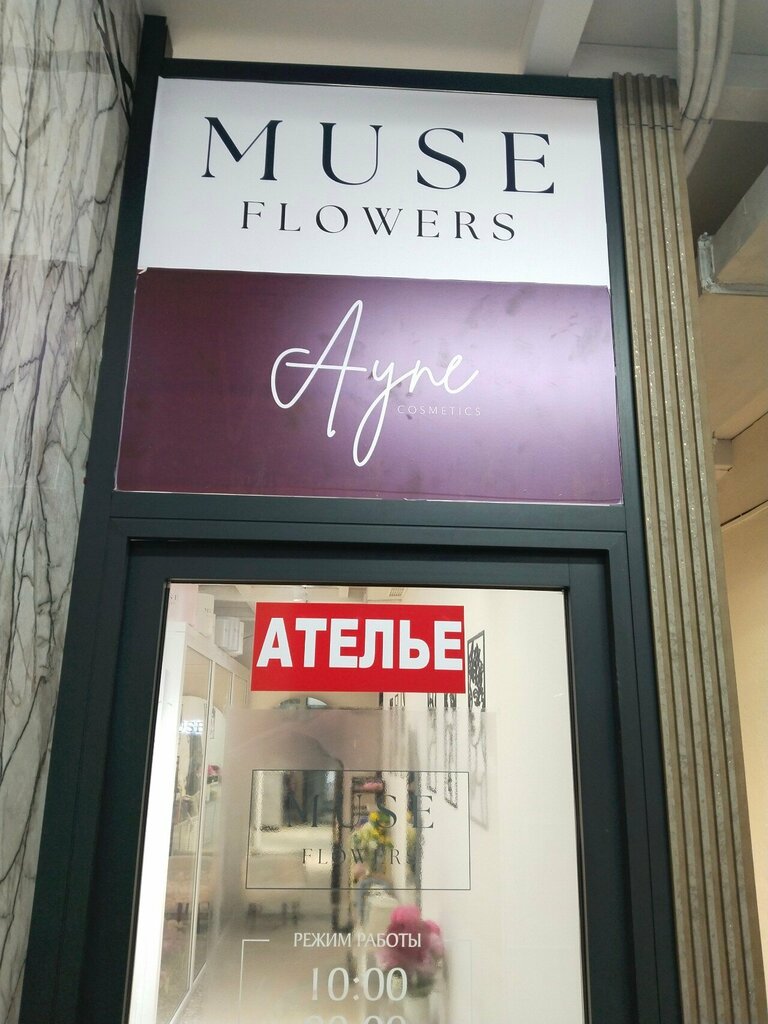 Perfume and cosmetics shop Ayne Cosmetics, Astana, photo