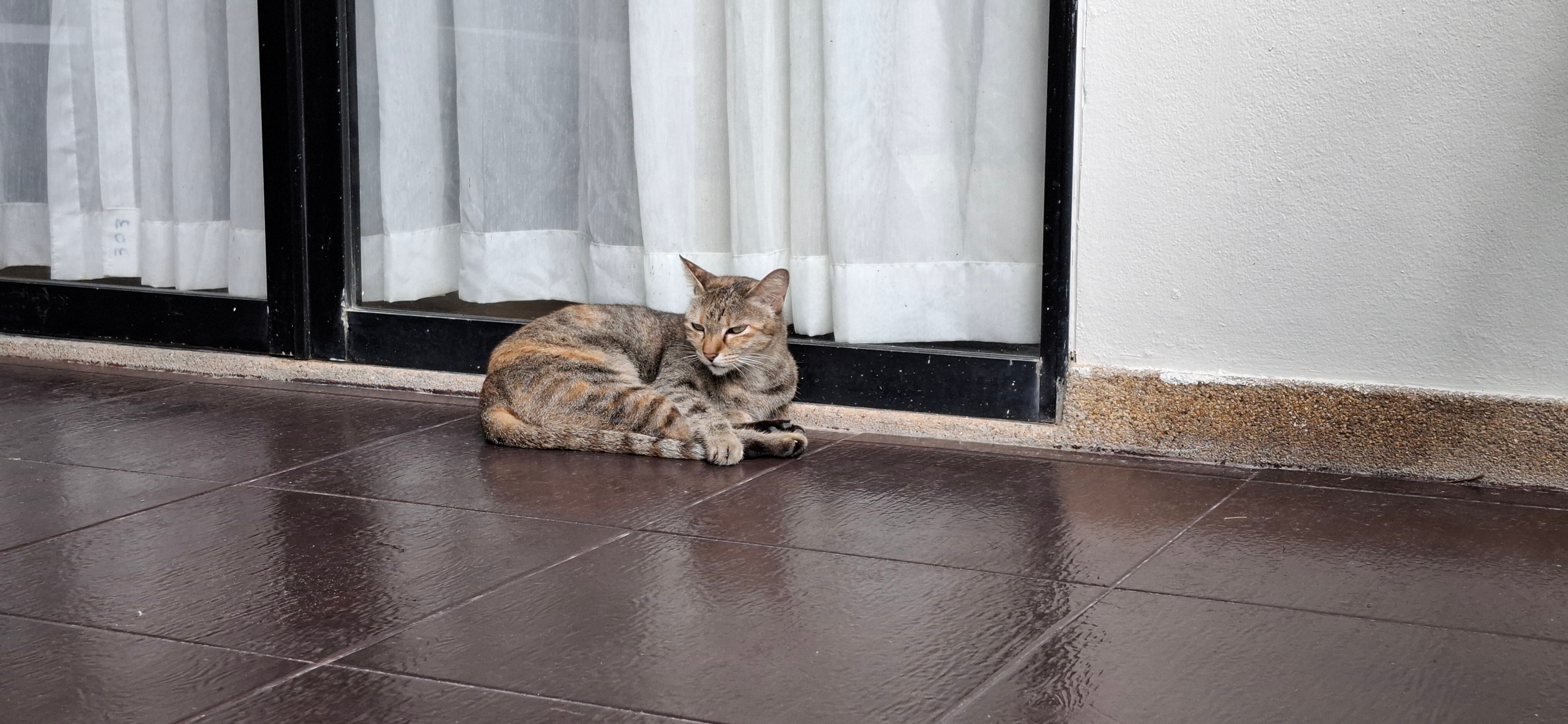 Фото In On The Beach