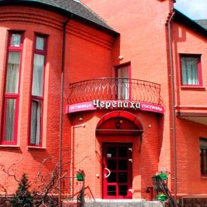 Фото Черепаха