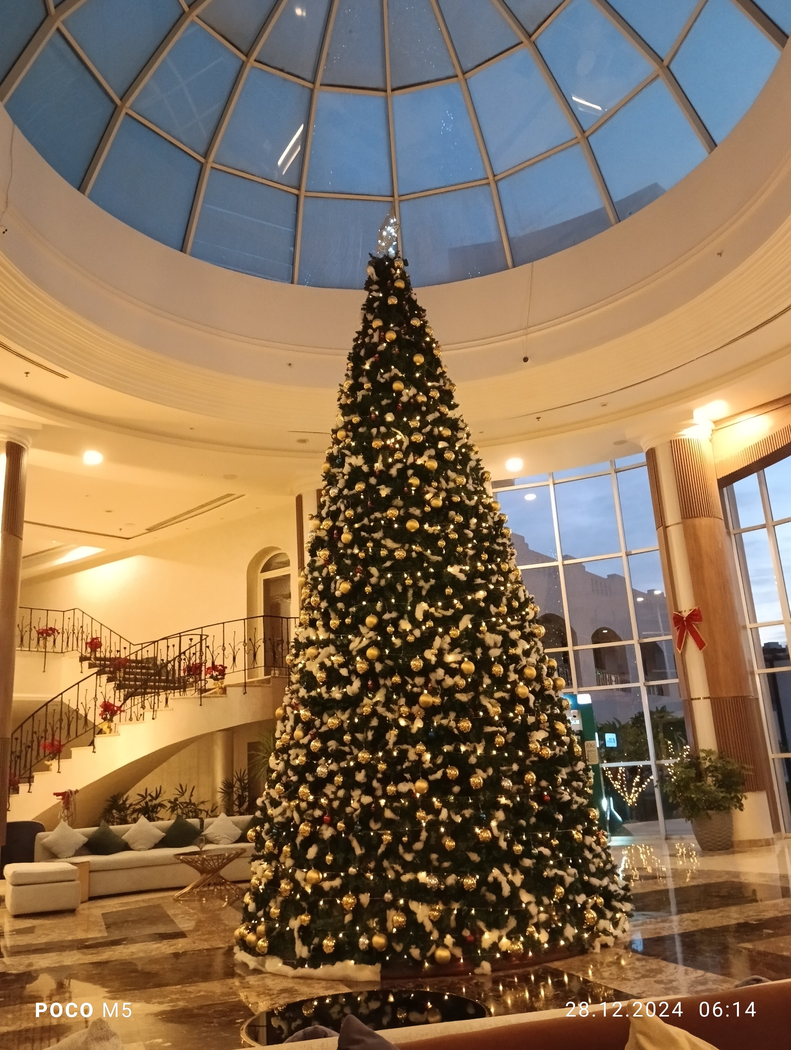 Фото Ivy Cyrene Sharm Resort