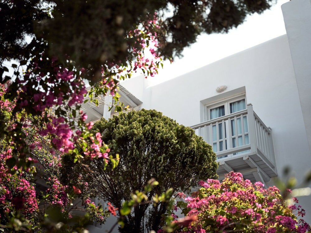 Фото Belvedere Hotel Mykonos