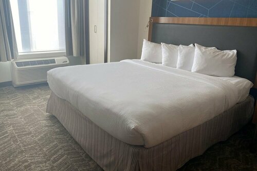 Внешний вид отеля SpringHill Suites by Marriott San Antonio Alamo Plaza/Convention Center в Сан-Антонио, фото 4